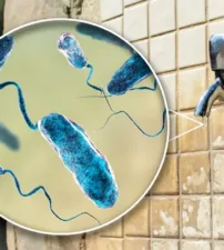 Water Borne Disease